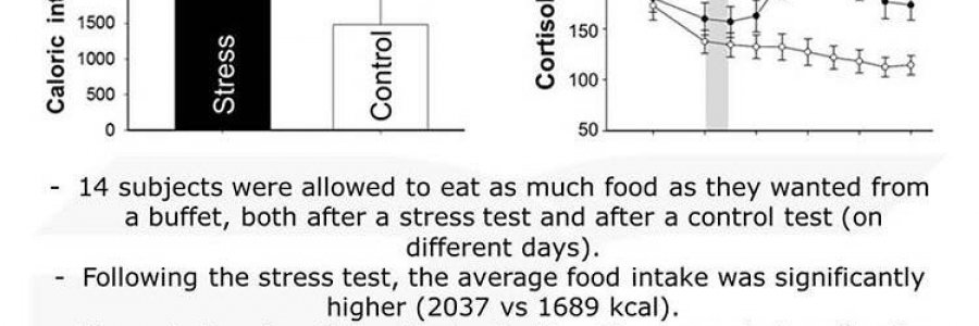 Does Stress Make You Eat More?