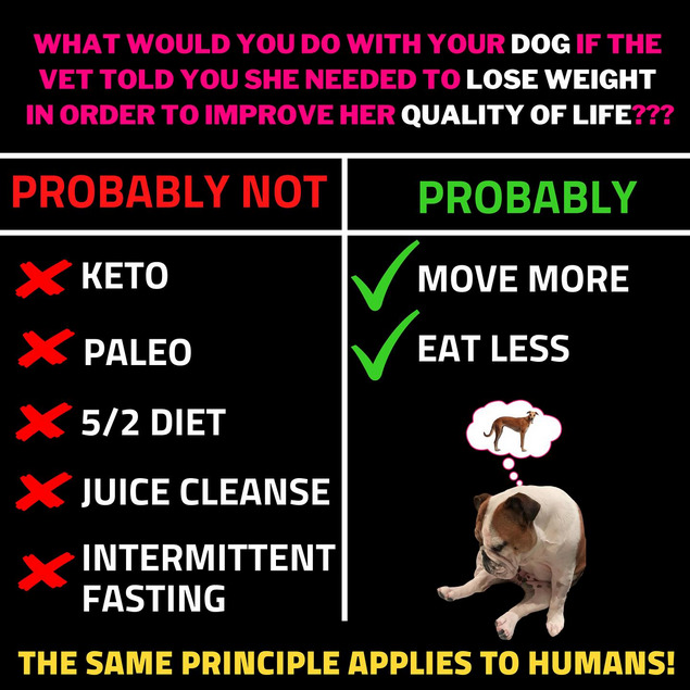 WEIGHT LOSS IN DOGS VS HUMANS