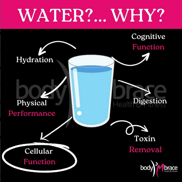 Hydration and digestion